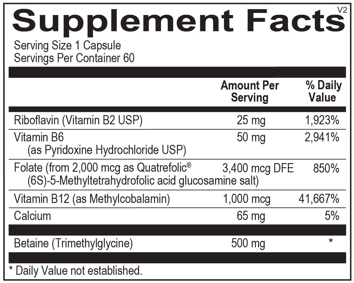 Methyl CpG®