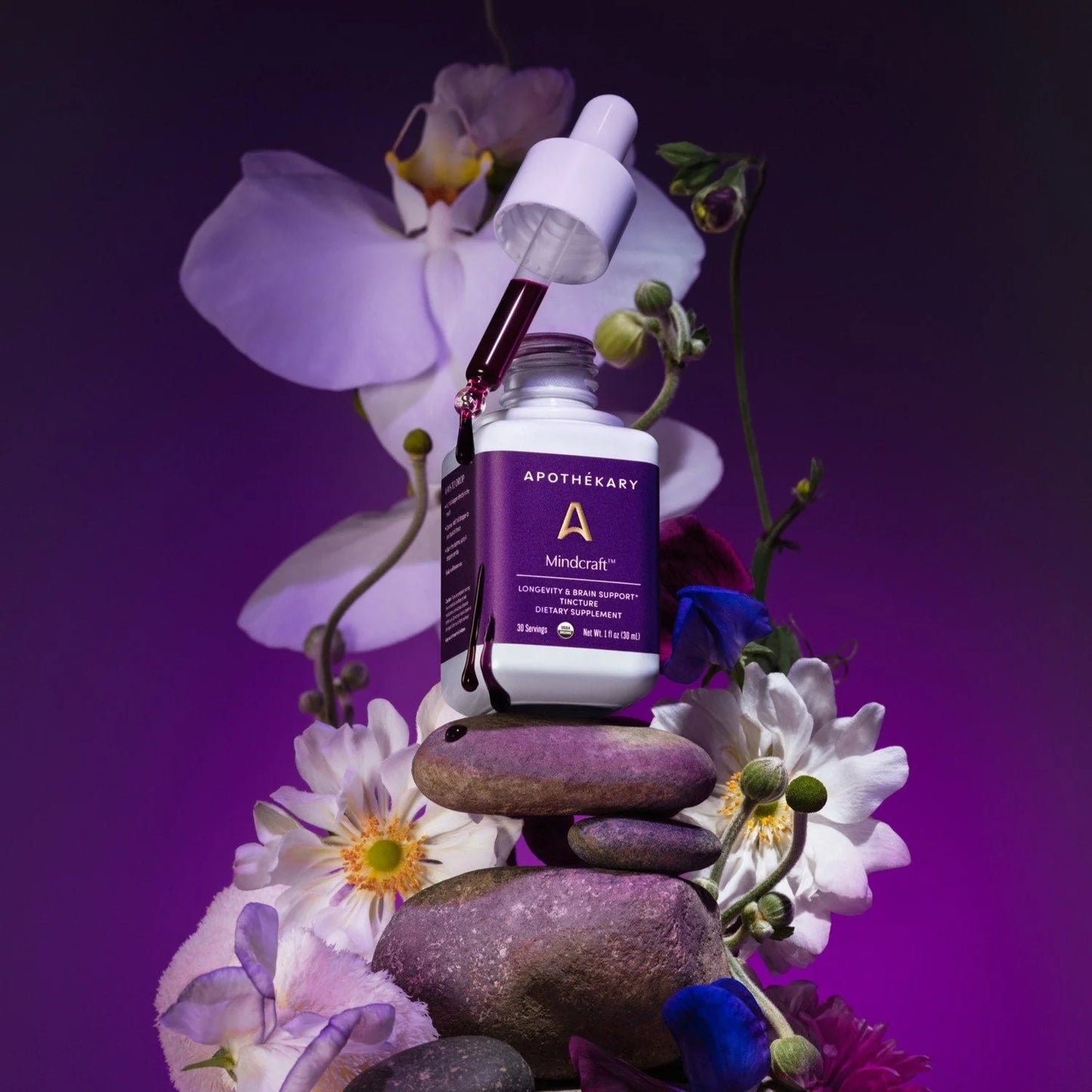 Mindcraft Longevity & Brain Support Tincture