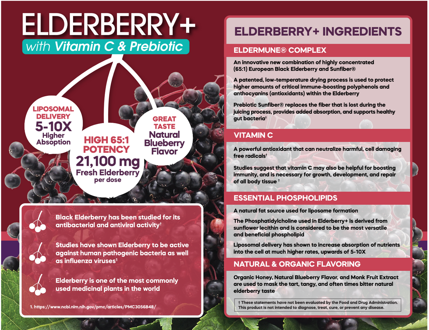 Elderberry Plus (Immune Booster) Liposomal