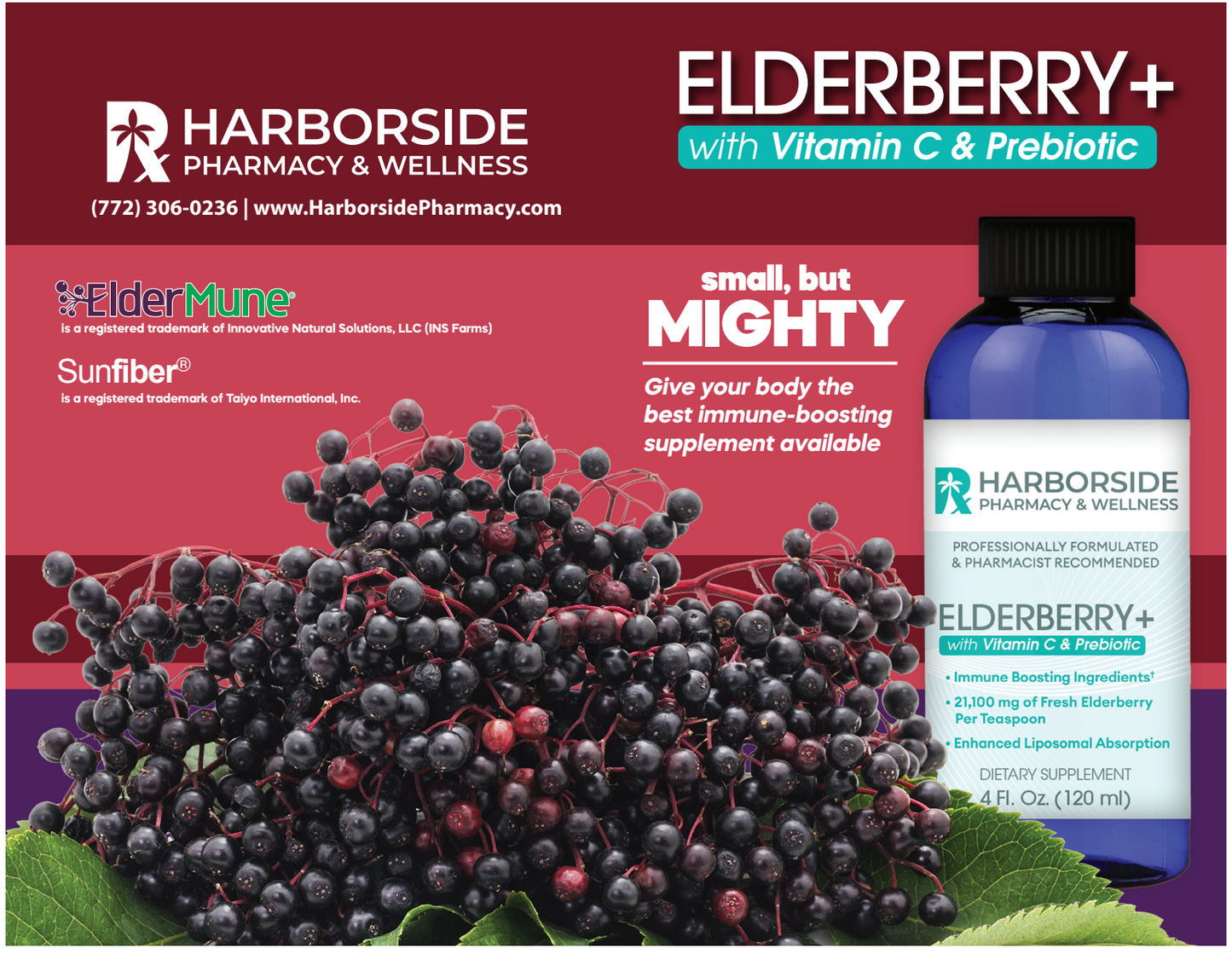 Elderberry Plus (Immune Booster) Liposomal