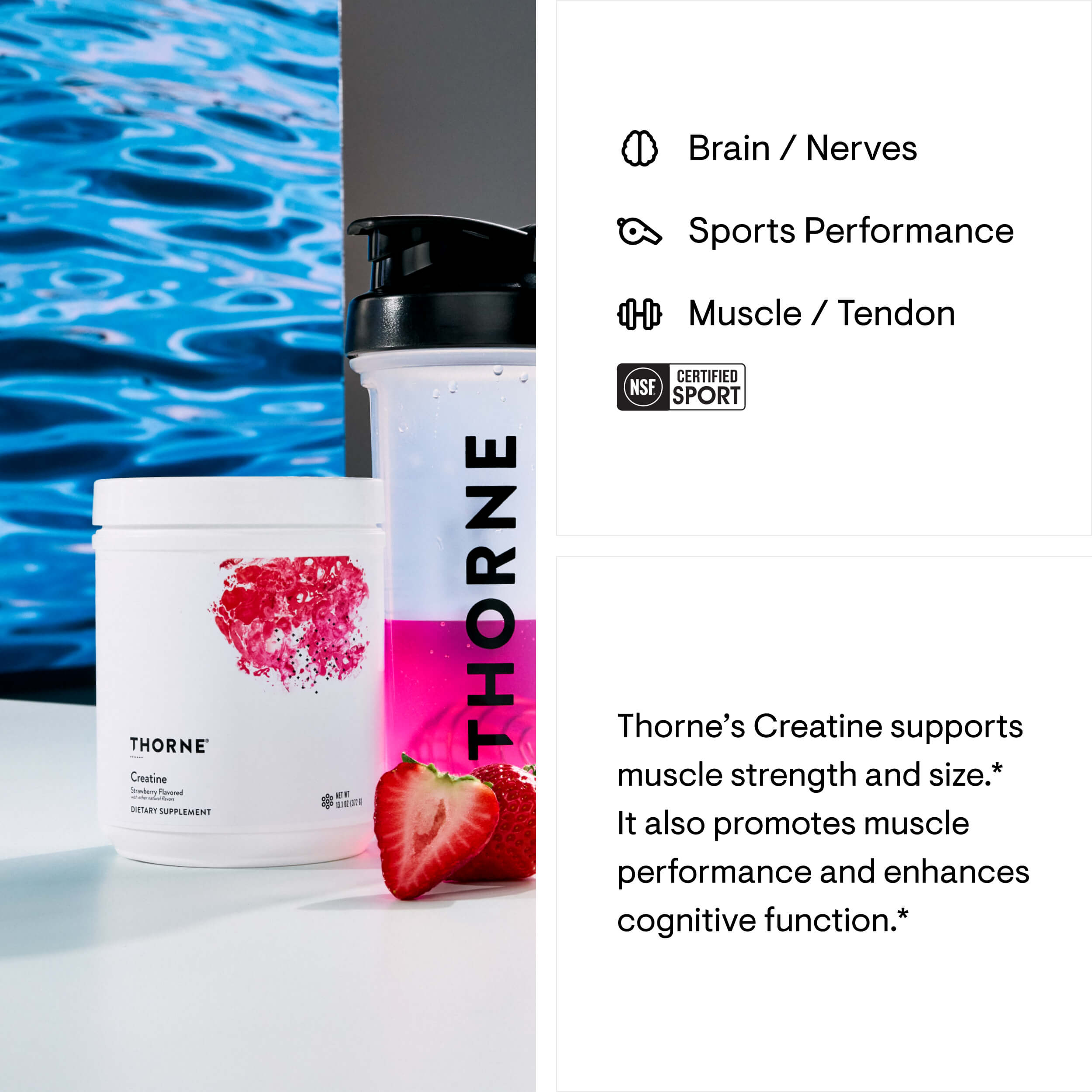 Creatine - Strawberry